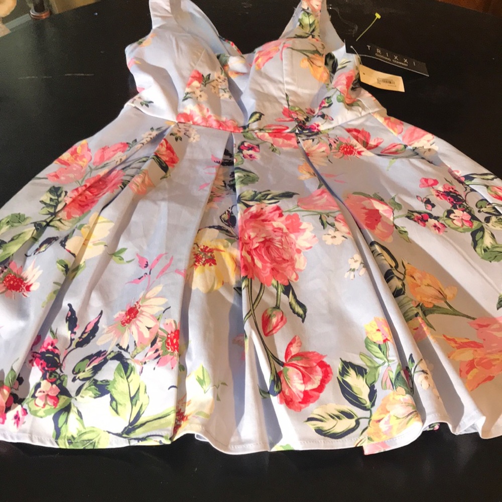 NWT 9 Day Blue Trixxi Flower Layered Dress 🌟